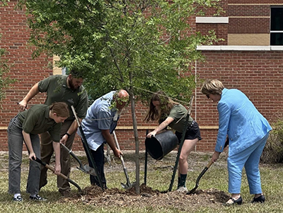 group of employees, students, and Dr. Lorenz planting an elm tree to commemorate the legacy of the American Revolution