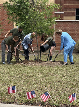 group of employees, students, and Dr. Lorenz planting an elm tree to commemorate the legacy of the American Revolution