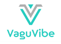 Company logo that reads 'VaguVibe' in aqua-colored font and the company logo is above the name that is two of the letter 'v' in aqua and gray with an upside down aqua triangle in the center of the gray letter 'v'