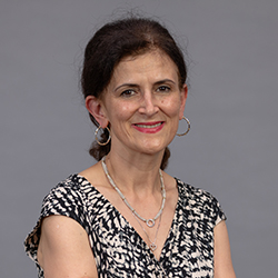 Headshot of Dean Shahin Kanani with a grey background