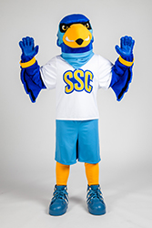 Rally signaling hello ('Greet') by holding both hands in the air