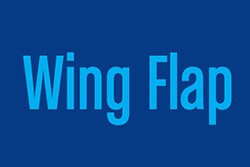 'Wing Flap' in light blue font on a royal blue background